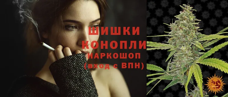 Каннабис OG Kush  Дзержинский 